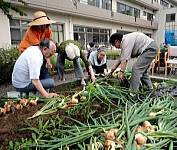 ○○○○○○○○イメージ